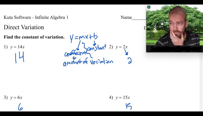 What is Kuta Software Infinite Algebra 1